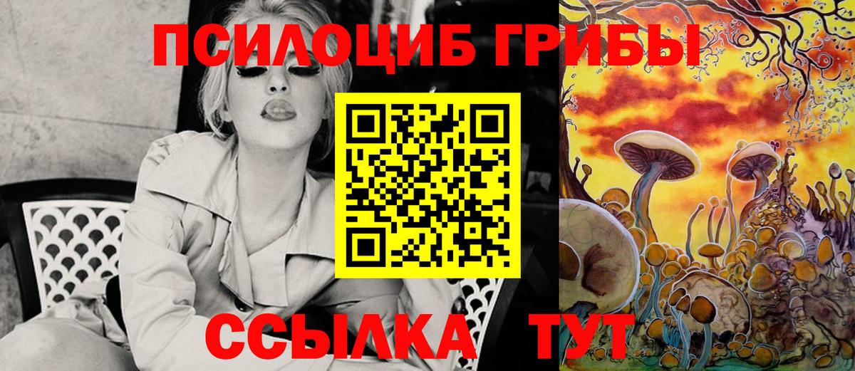 Псилоцибиновые грибы Cubensis  Вход с VPN  Топки  Псилоцибиновые грибы GOLDEN TEACHER 